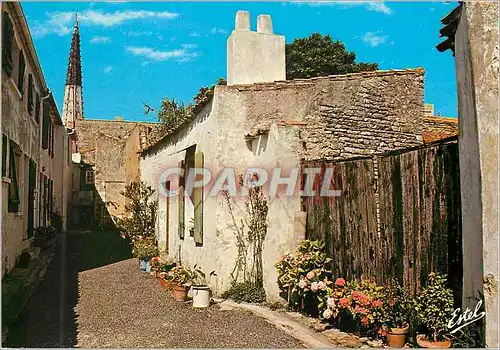 Cartes postales moderne La Cote Atlantique Ile de Re Ars en Re(Charente Maritime)Une Venelle Fleurie et le Clocher de l'