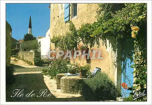 Cartes postales moderne Ile de Re Charente Maritime)la Cote Atlantique