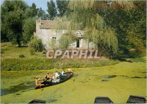 Cartes postales moderne La venise Verte (deux Sevres) Promenade a Arcais