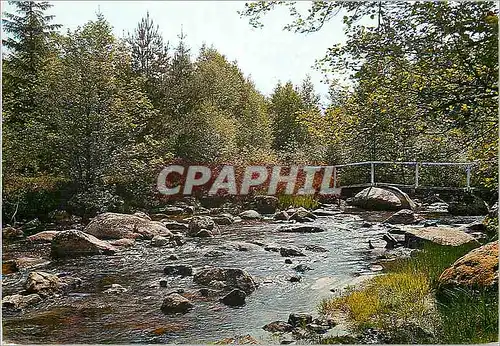 Cartes postales moderne Le limousin touristique pays d'eau et de verdure