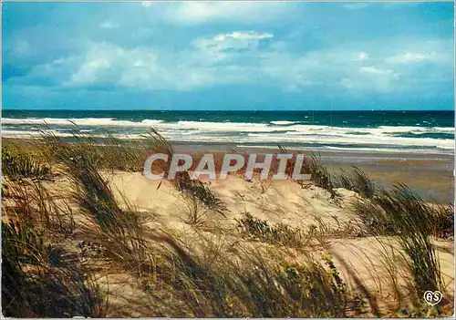 Cartes postales moderne les vagues arrivent dans un invisible lointain