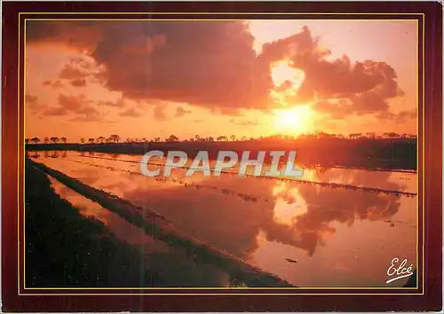 Cartes postales moderne La carte postale de l'amitie