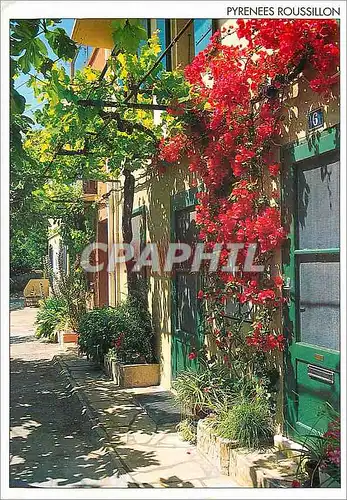 Cartes postales moderne Message du sud pyrenees roussillon bougainville fleurie dans une ruelle toute meridionale