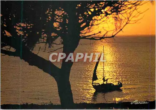 Cartes postales moderne Image de la mer coucher de soleil et voilier