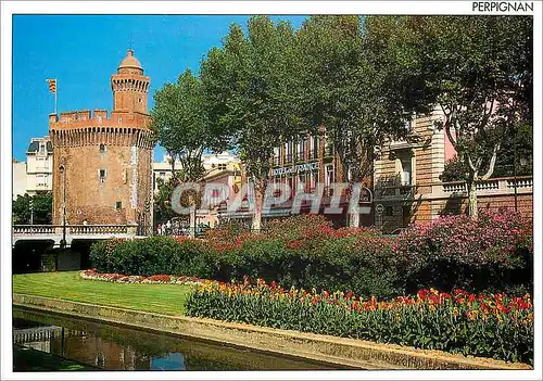 Cartes postales moderne Message du sud perpignan (P O) jardins fleurs sur les quais de la base le castillet ancienne por