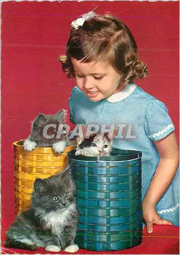 Cartes postales moderne Enfant Chats Chatons