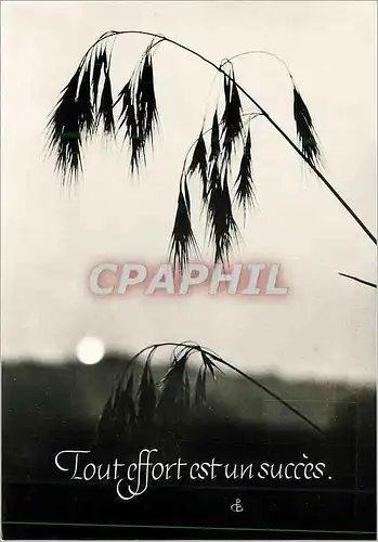 Cartes postales moderne Tout effort est un succes