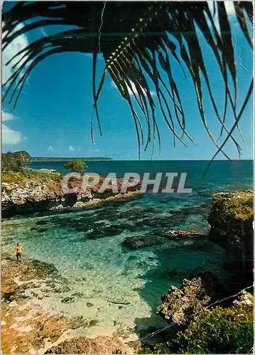 Cartes postales moderne Nouvelle caledonie petite crique de la baie de chepenehe lifou