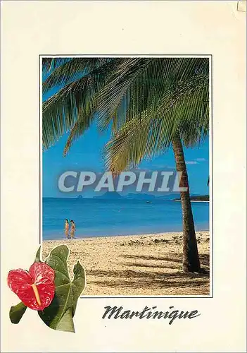 Cartes postales moderne Martinique plage des salines