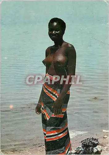 Cartes postales moderne Afrique en couleurs rencotre au bord du marigot