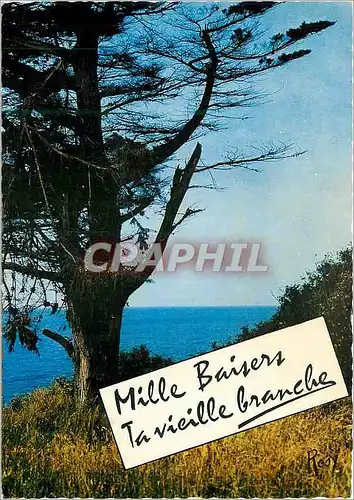 Cartes postales moderne Mille baisers ta vieille branche