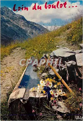 Cartes postales moderne Loin du boulot