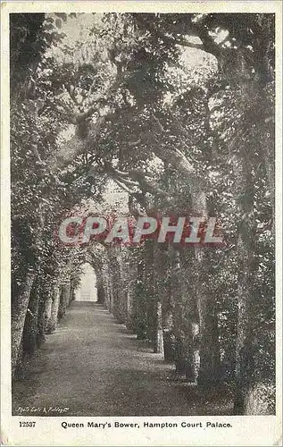 Cartes postales Qeen mary's bower hampton court palace