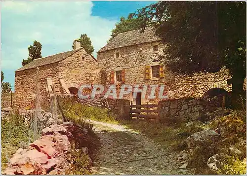 Cartes postales moderne Les cevennes touristiques vieille demeure