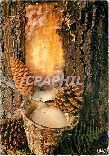 Moderne Karte Au payes landais sans regretter son sans qui coule goulle