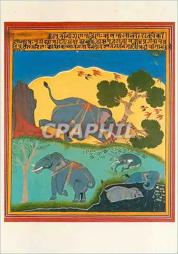 Moderne Karte Four elephants Elephant