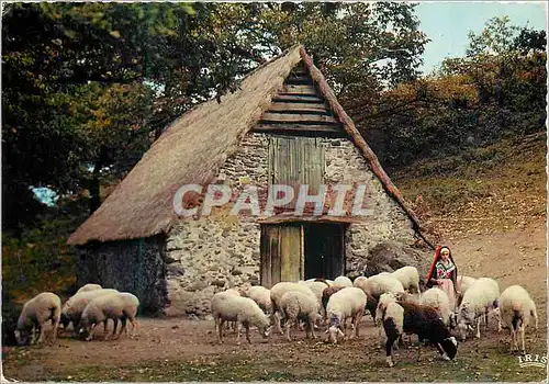 Cartes postales moderne Bartres bergerie authentique ou ste bernadette enfermait son troupeau