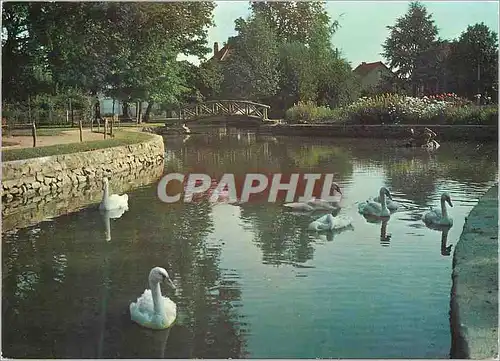 Cartes postales moderne Montlucon (Allier) le square du chateau saint jean