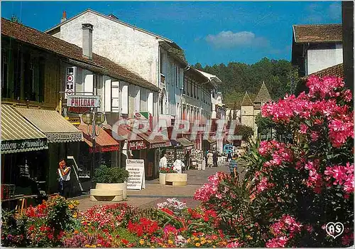 Cartes postales moderne Barbotan les thermes (Gers) rue pietonne