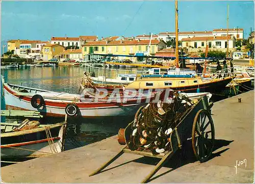 Cartes postales moderne Couleurs et lumiere de france la cote d'azur miracle de la nature le Brusc (Var) son pittoresque