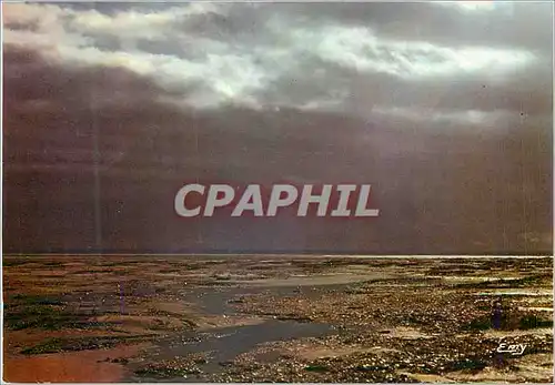 Cartes postales moderne Le marais avant l'orage