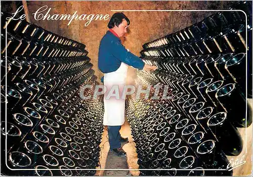 Cartes postales moderne En champagne caves moet et chandon epernay (Marne) le remuage