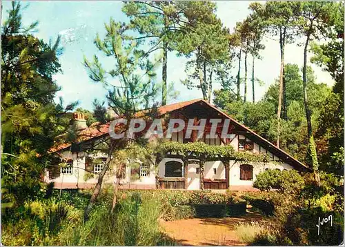 Cartes postales moderne Couleurs et lumiere de france villa landaise dans la foret de pins