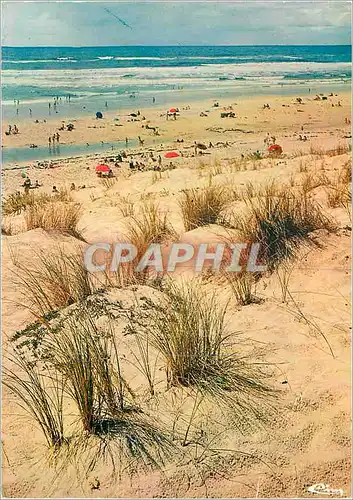 Cartes postales moderne Paysage landais plage au bord de l'ocean