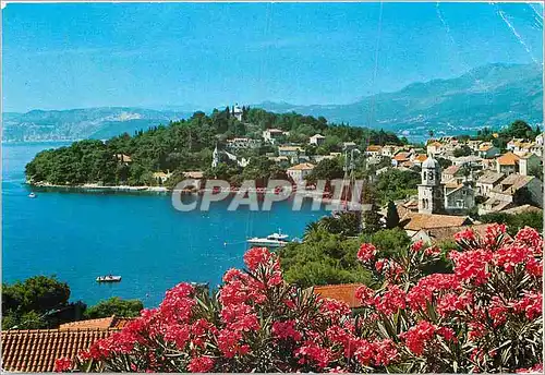 Cartes postales moderne Cavtat hote Marina lucica