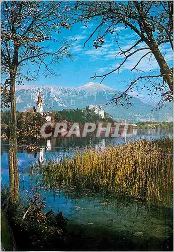 Cartes postales moderne Bled Slovenijas