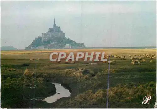 Cartes postales moderne Le Mont saint Michel prestige