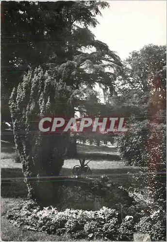 Cartes postales moderne Congregation des soeurs de jesus sainte therese Aubry le Panthou par Vimoutiers (Orne)