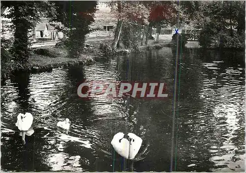 Cartes postales moderne Congregation des soeurs de jesus crucifie prieure sainte therese Aubry le Panthou par Vimoutiers