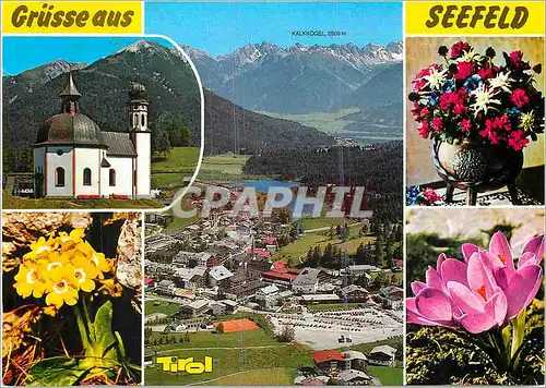 Cartes postales moderne Seefeld 1200 m Grusse aus