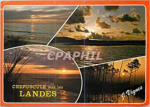 Cartes postales moderne Crepuscule sur les Landes