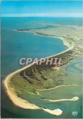 Cartes postales moderne La Pointe d'Arcais La reserve ornithologique