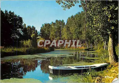 Cartes postales moderne Pontchateau (Loire-Alt) Le Brivet