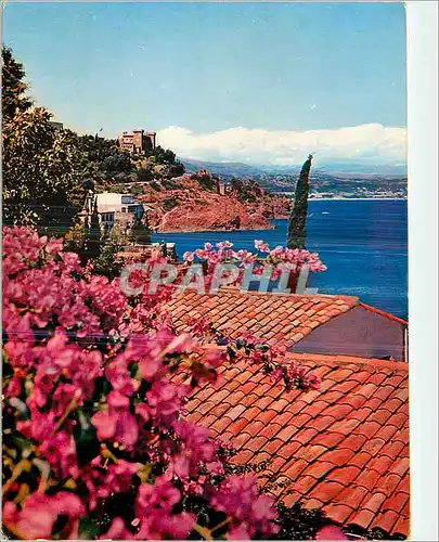 Cartes postales moderne La Cote d'Azur et ses Mervielles Rivages Fleuris