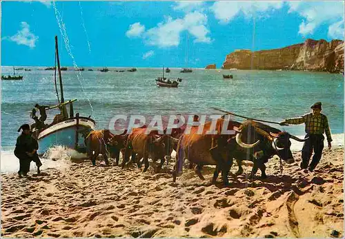 Cartes postales moderne Nazare (Portugal) La traine des bateaux Attelage