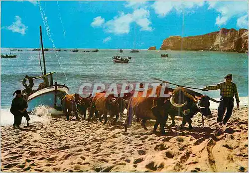 Moderne Karte Nazare (Portugal) La traine des bateaux Attelage