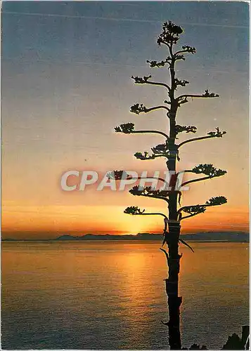 Cartes postales moderne Cote d'Azur Coucher de Soleil