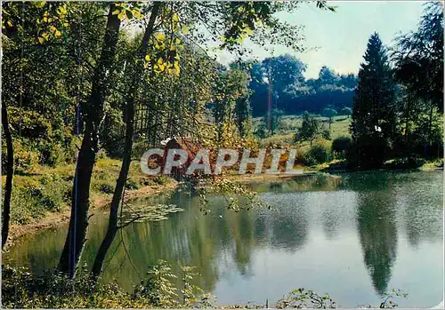 Cartes postales moderne Le Bourg-St-Leonard (Orne) Chateau XVIIIe s Monument historique Vue de l'Etang