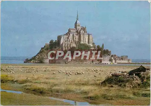 Cartes postales moderne Le Mont-Saint-Michel (Manche) Les Moutons et la facade Sud Ouest