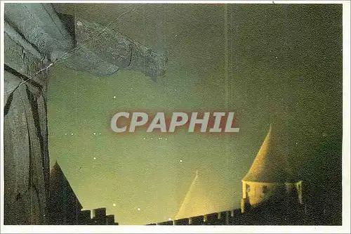 Cartes postales moderne La Cite Insolite Gargouille sur les remparts
