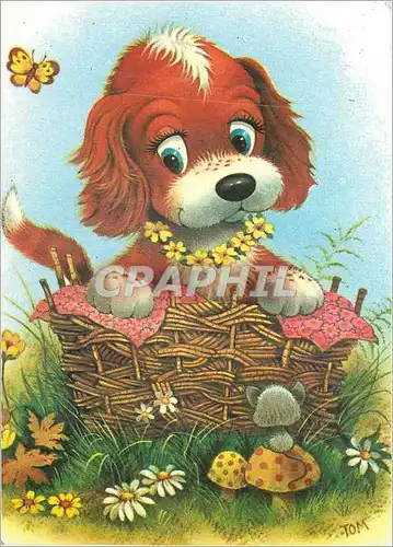 Cartes postales moderne Chien