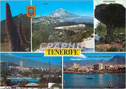 Cartes postales moderne Tenerife Divers aspects