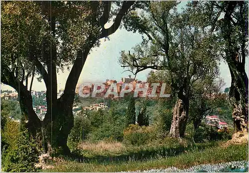 Cartes postales moderne Cagnes vu a traversales