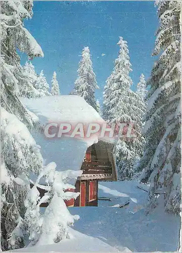 Cartes postales moderne Chalet sous la neige
