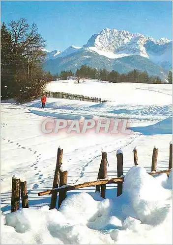 Cartes postales moderne Montagne sous la neige