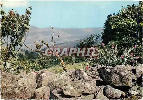 Cartes postales moderne Paysage de l'Est Panorama en montagne